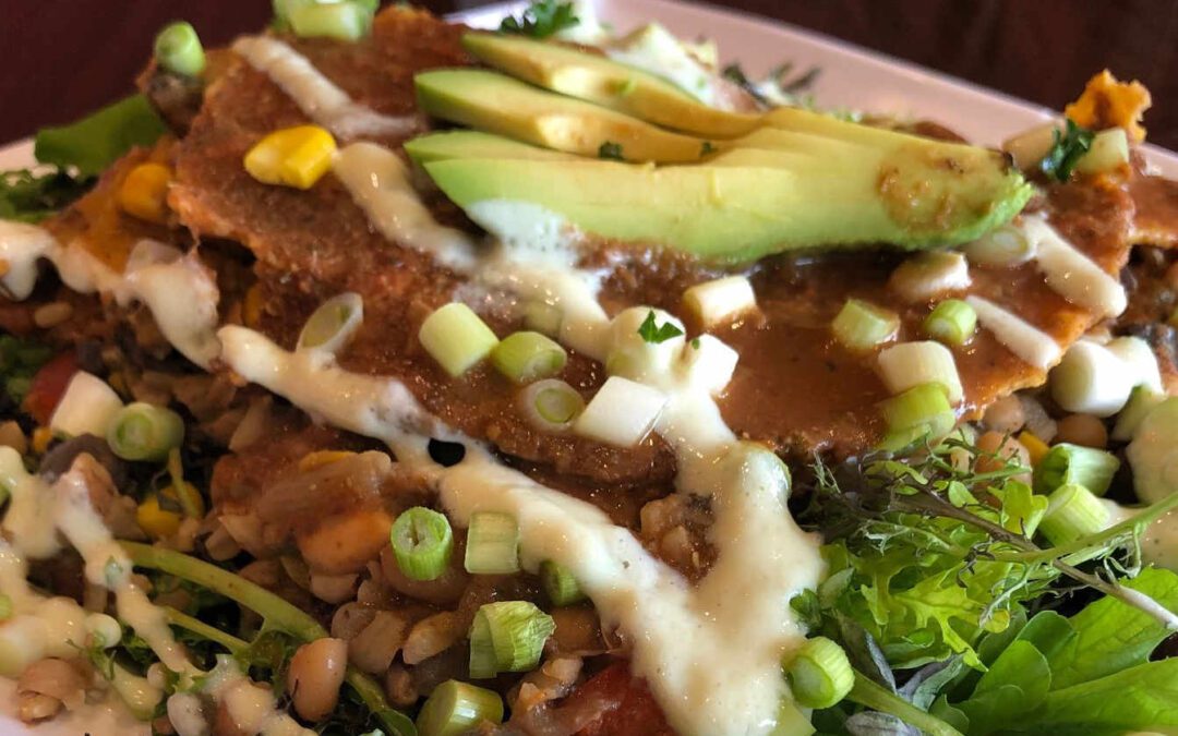 VSDC Dinner at GreenFare Organic Cafe – WFPB SOS Free